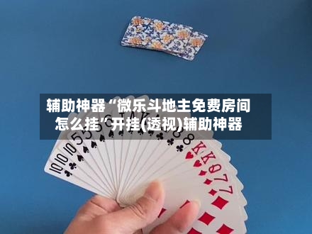 辅助神器“微乐斗地主免费房间怎么挂	”开挂(透视)辅助神器-第2张图片