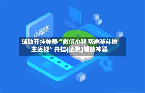 辅助开挂神器“微信小程序途游斗地主透视”开挂(透视)辅助神器-第2张图片