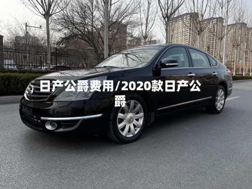 日产公爵费用/2020款日产公爵-第3张图片