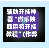 辅助开挂神器“微乐陕西麻将开挂教程”(作弊)辅助透视教程-第2张图片
