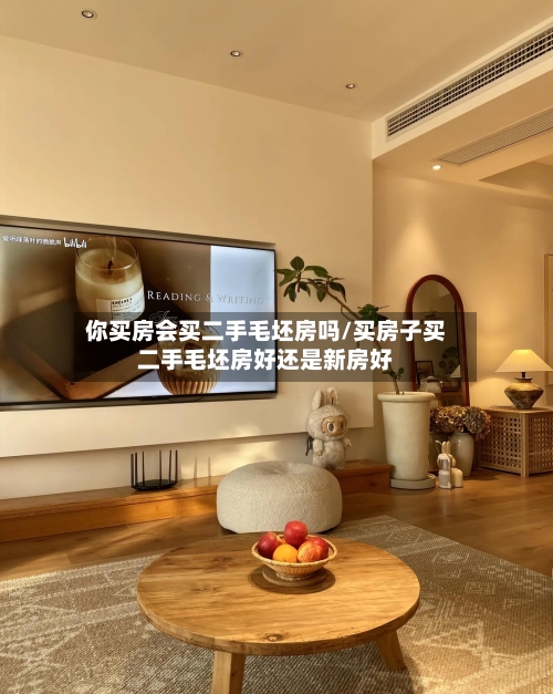 你买房会买二手毛坯房吗/买房子买二手毛坯房好还是新房好-第2张图片