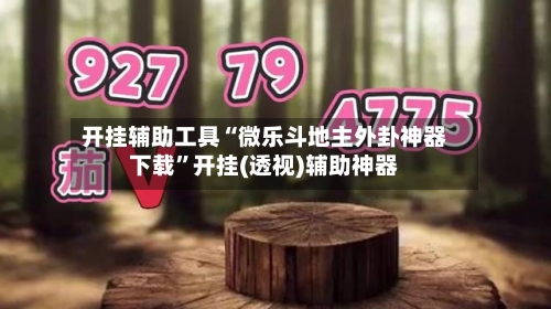开挂辅助工具“微乐斗地主外卦神器下载	”开挂(透视)辅助神器-第3张图片