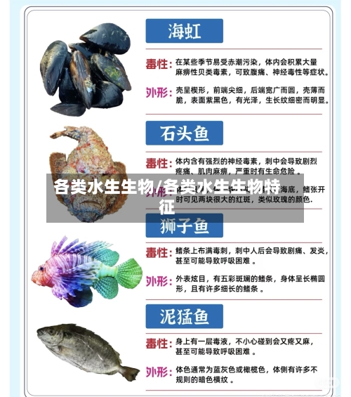 各类水生生物/各类水生生物特征-第2张图片