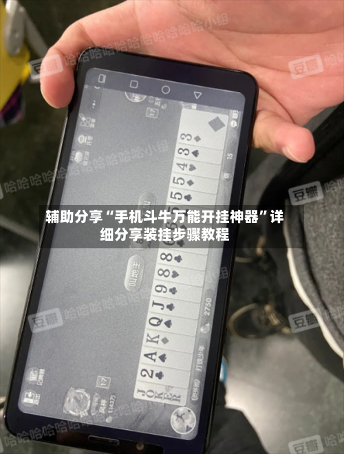 辅助分享“手机斗牛万能开挂神器”详细分享装挂步骤教程-第2张图片