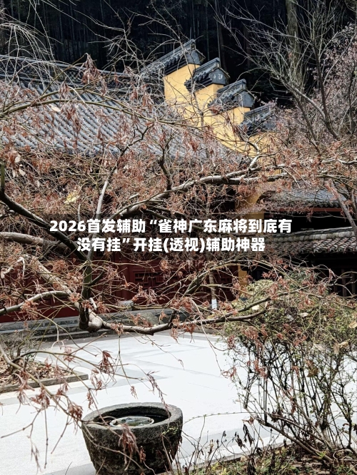 2026首发辅助“雀神广东麻将到底有没有挂”开挂(透视)辅助神器-第3张图片