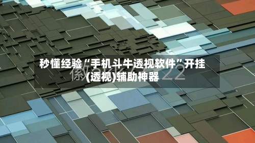 秒懂经验“手机斗牛透视软件”开挂(透视)辅助神器-第2张图片