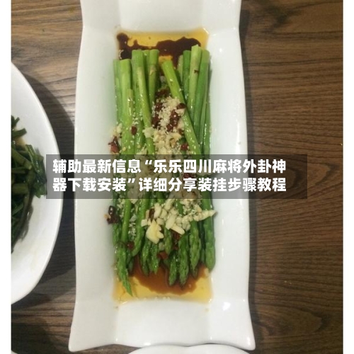 辅助最新信息“乐乐四川麻将外卦神器下载安装”详细分享装挂步骤教程-第2张图片