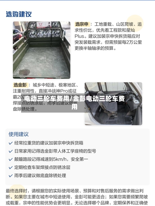 电动三轮车费用/金彭电动三轮车费用-第2张图片