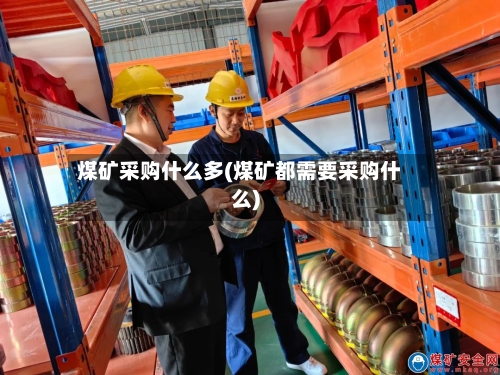 煤矿采购什么多(煤矿都需要采购什么)-第2张图片