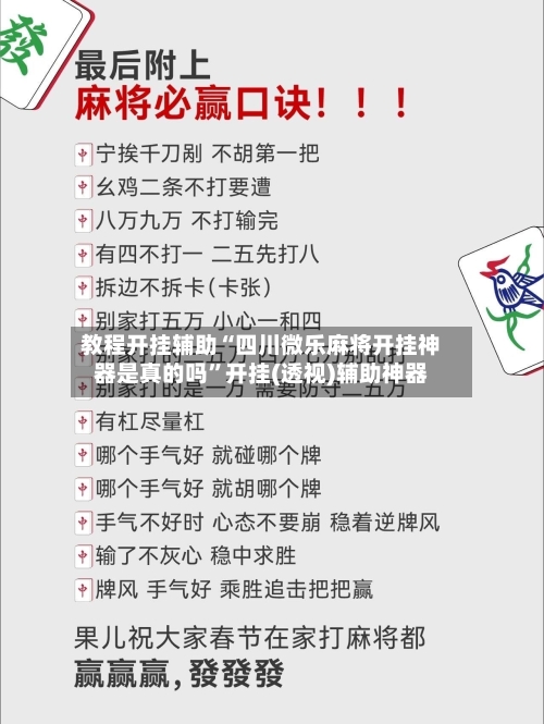 教程开挂辅助“四川微乐麻将开挂神器是真的吗”开挂(透视)辅助神器-第3张图片