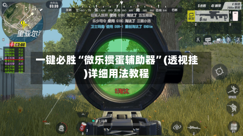 一键必胜“微乐掼蛋辅助器	”(透视挂)详细用法教程-第2张图片
