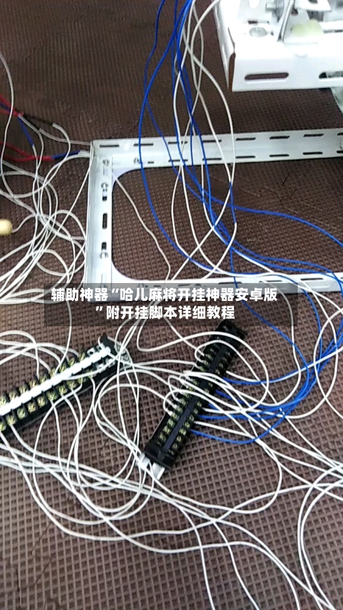 辅助神器“哈儿麻将开挂神器安卓版”附开挂脚本详细教程-第2张图片