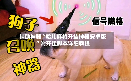 辅助神器“哈儿麻将开挂神器安卓版	”附开挂脚本详细教程-第3张图片