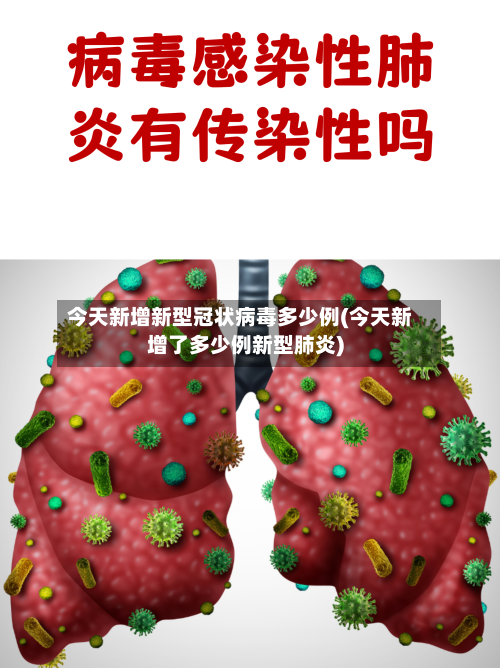 今天新增新型冠状病毒多少例(今天新增了多少例新型肺炎)-第1张图片