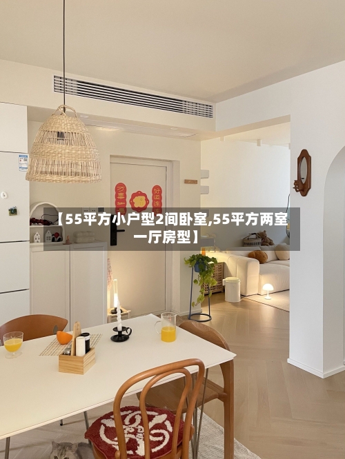 【55平方小户型2间卧室,55平方两室一厅房型】-第1张图片