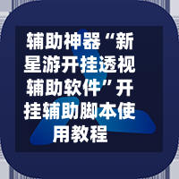辅助神器“新星游开挂透视辅助软件”开挂辅助脚本使用教程-第3张图片