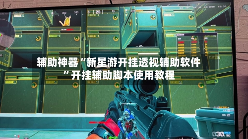 辅助神器“新星游开挂透视辅助软件”开挂辅助脚本使用教程-第2张图片