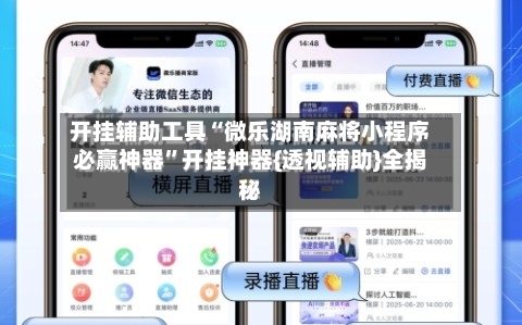 开挂辅助工具“微乐湖南麻将小程序必赢神器”开挂神器{透视辅助}全揭秘-第1张图片