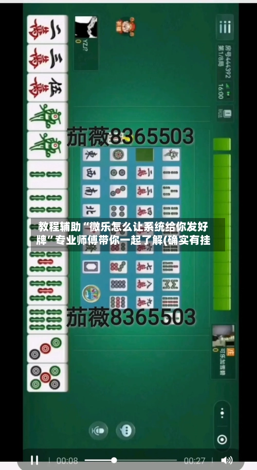 教程辅助“微乐怎么让系统给你发好牌”专业师傅带你一起了解(确实有挂-第1张图片