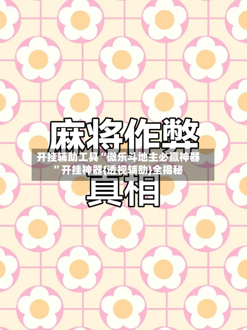 开挂辅助工具“微乐斗地主必赢神器”开挂神器{透视辅助}全揭秘-第1张图片