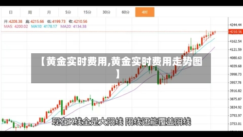 【黄金实时费用,黄金实时费用走势图】-第1张图片