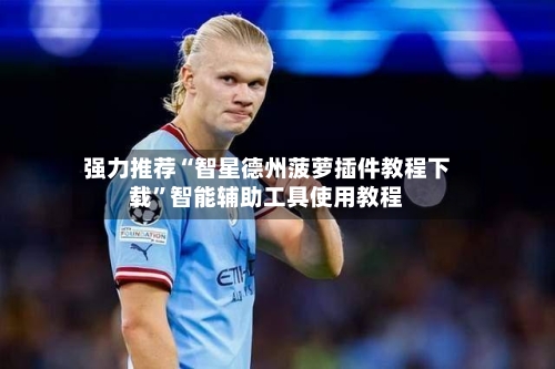 强力推荐“智星德州菠萝插件教程下载	”智能辅助工具使用教程-第1张图片
