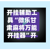 开挂辅助工具“微乐甘肃麻将万能开挂器”开挂辅助脚本+详细开挂安装教程-第2张图片