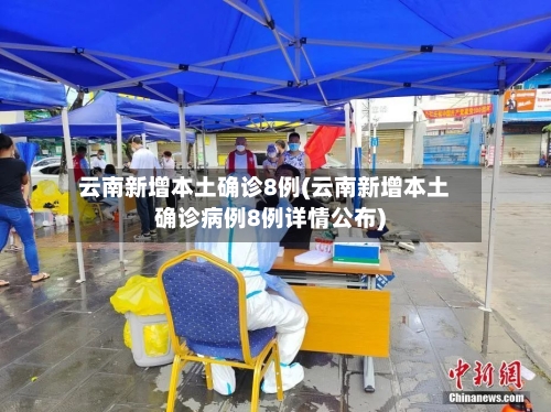 云南新增本土确诊8例(云南新增本土确诊病例8例详情公布)-第2张图片