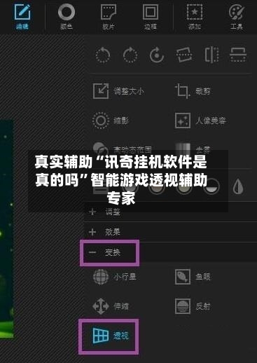 真实辅助“讯奇挂机软件是真的吗”智能游戏透视辅助专家-第2张图片
