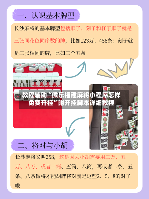 教程辅助“微乐福建麻将小程序怎样免费开挂”附开挂脚本详细教程-第2张图片