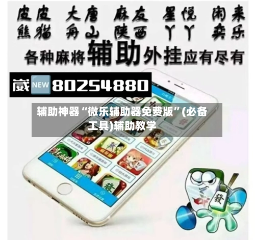 辅助神器“微乐辅助器免费版”(必备工具)辅助教学-第3张图片