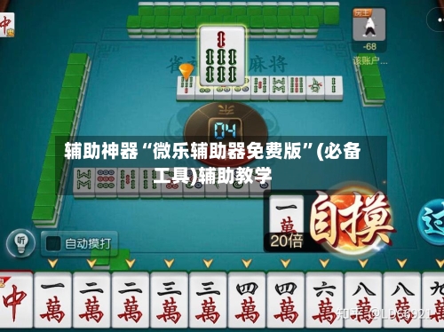 辅助神器“微乐辅助器免费版”(必备工具)辅助教学-第2张图片