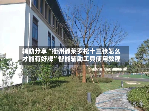 辅助分享“衢州都莱罗松十三张怎么才能有好牌”智能辅助工具使用教程-第3张图片