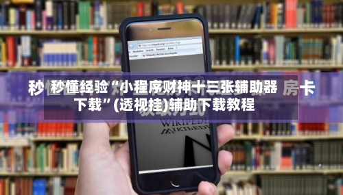 秒懂经验“小程序财神十三张辅助器下载	”(透视挂)辅助下载教程-第3张图片