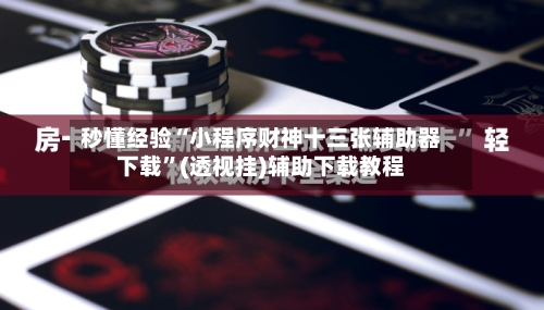 秒懂经验“小程序财神十三张辅助器下载”(透视挂)辅助下载教程-第2张图片