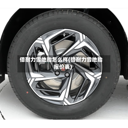 倍耐力雪地胎怎么样(倍耐力雪地胎报价表)-第3张图片