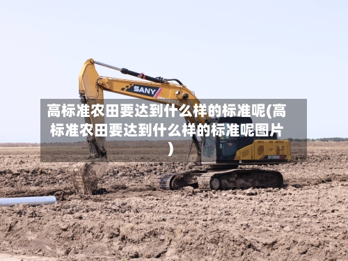 高标准农田要达到什么样的标准呢(高标准农田要达到什么样的标准呢图片)-第2张图片