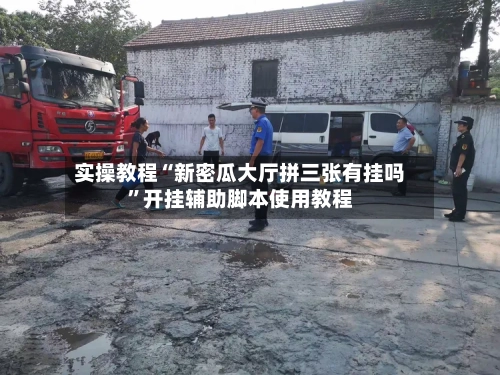 实操教程“新密瓜大厅拼三张有挂吗”开挂辅助脚本使用教程-第1张图片