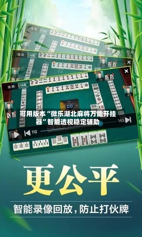 可用版本“微乐湖北麻将万能开挂器”智能透视稳定辅助-第3张图片