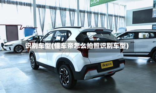 识别车型(懂车帝怎么拍照识别车型)-第1张图片