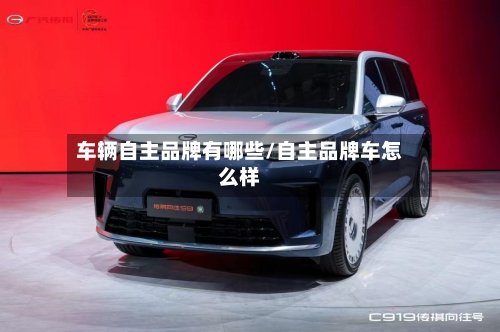 车辆自主品牌有哪些/自主品牌车怎么样-第2张图片