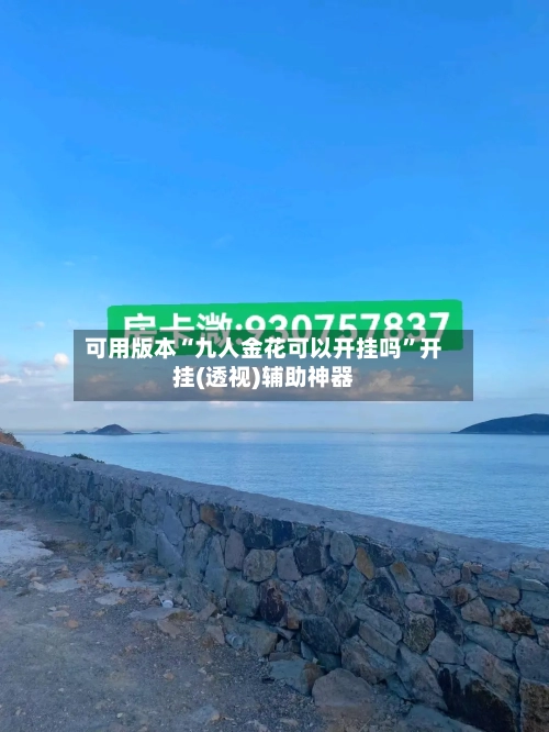 可用版本“九人金花可以开挂吗	”开挂(透视)辅助神器-第3张图片