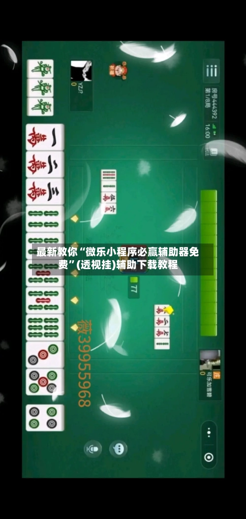 最新教你“微乐小程序必赢辅助器免费”(透视挂)辅助下载教程-第2张图片