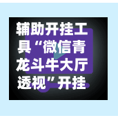 辅助开挂工具“微信青龙斗牛大厅透视”开挂神器{透视辅助}全揭秘-第2张图片