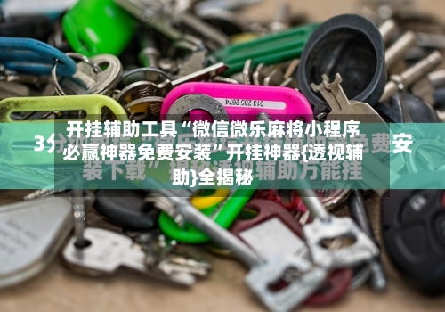 开挂辅助工具“微信微乐麻将小程序必赢神器免费安装	”开挂神器{透视辅助}全揭秘-第2张图片