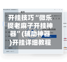 开挂技巧“微乐捉老麻子开挂神器”(辅助神器)开挂详细教程-第2张图片