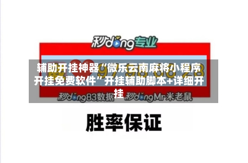 辅助开挂神器“微乐云南麻将小程序开挂免费软件”开挂辅助脚本+详细开挂-第2张图片