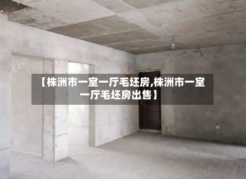【株洲市一室一厅毛坯房,株洲市一室一厅毛坯房出售】-第3张图片