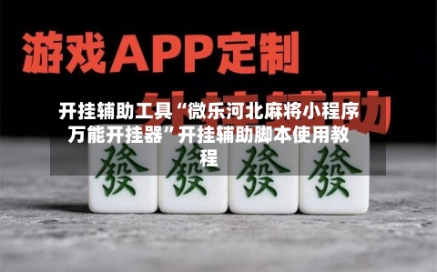 开挂辅助工具“微乐河北麻将小程序万能开挂器”开挂辅助脚本使用教程-第3张图片