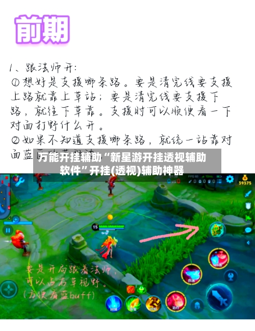 万能开挂辅助“新星游开挂透视辅助软件”开挂(透视)辅助神器-第2张图片